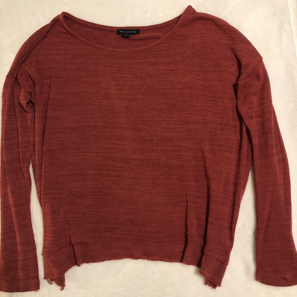 Rust American Eagle Sweater